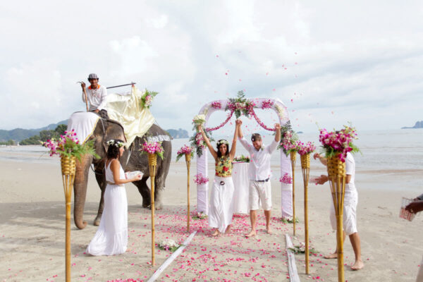 Long Beach Elephant Marriage : Ana + Luiz