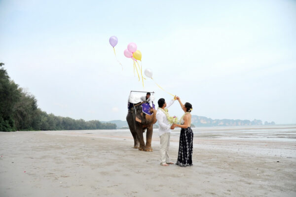 Krabi Beach Elephant Wedding